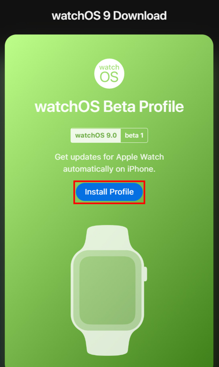 Cách cập nhật watchOS 9 Beta 1